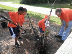  Boy Scouts #832 learned how to plant trees! 