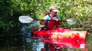  Kayak Excursion along the Myakkahatchee Creek! 